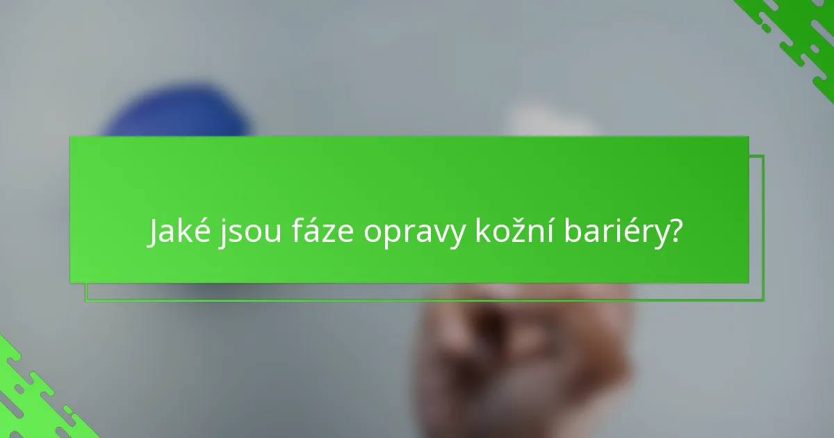 Jaké jsou fáze opravy kožní bariéry?