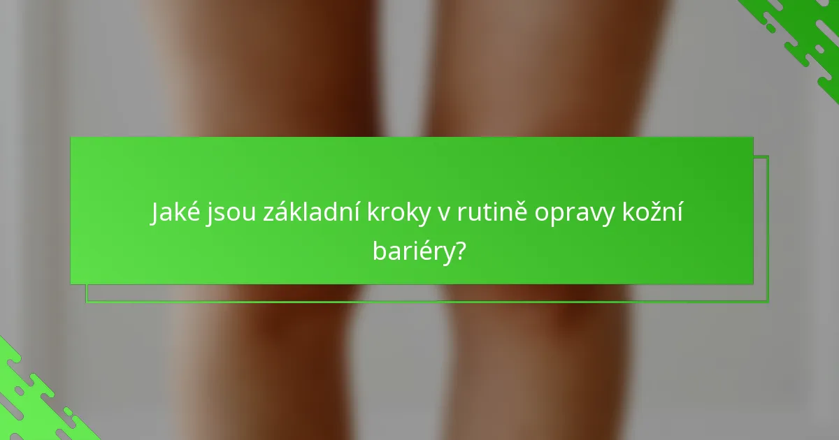 Jaké jsou základní kroky v rutině opravy kožní bariéry?
